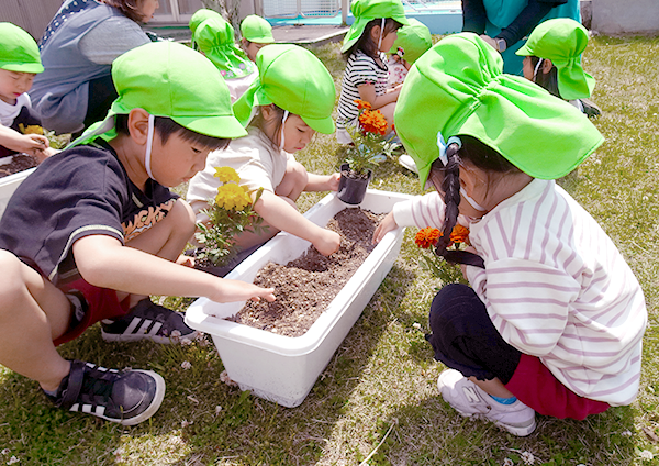 鵜川たんぼアートのようす