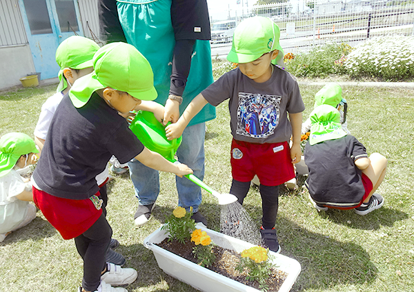 鵜川たんぼアートのようす