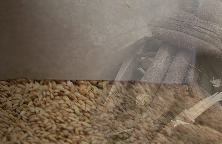 バイオガス化プロジェクト[:短期]