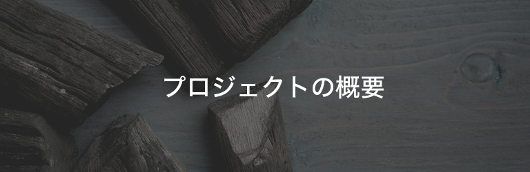 プロジェクトの概要