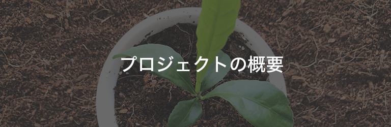 プロジェクトの概要