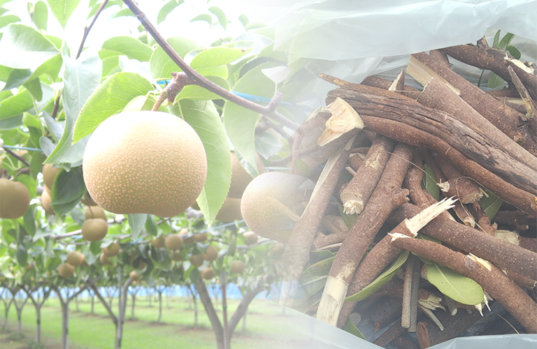 熱利用プロジェクト[長期]