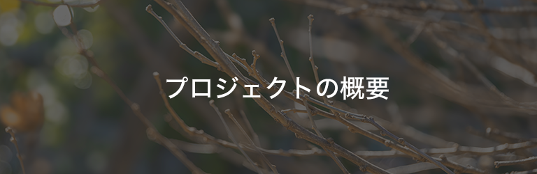 プロジェクトの概要