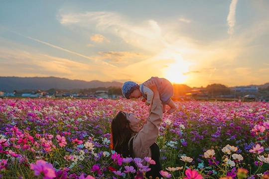 竜王町インスタグラムフォトコンテスト2025優秀賞受賞作品「コスモス畑」