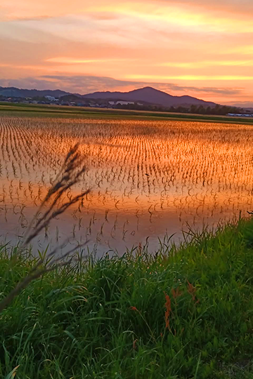 竜王町インスタグラムフォトコンテスト2025優秀賞受賞作品「鏡花水月」
