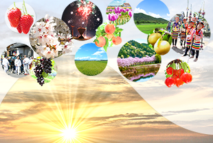 2020年日の出・特産品・祭り・風景