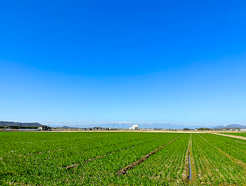 青一天(橋本地先)  撮影者：竜王町広報担当 2023年2月28日撮影