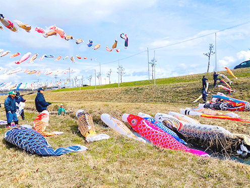 「次は私たちがお空に舞う番だね！ドキドキ！」(善光寺川「こいのぼりの川渡し」)  撮影者：竜王清流会 2025年3月30日撮影