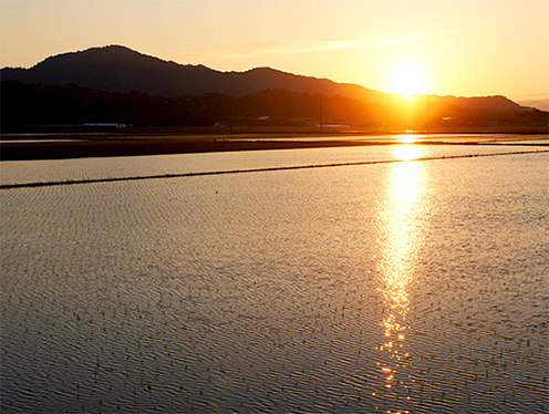 水のキャンバスが鏡山の夕日を描きました&nbsp;&nbsp;撮影者：ひかり&nbsp;2026年5月14日撮影