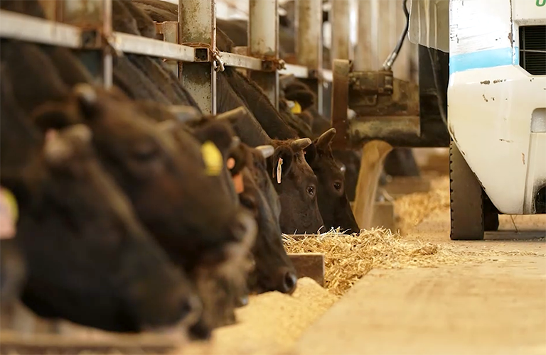 バイオガス化プロジェクト[:短期]