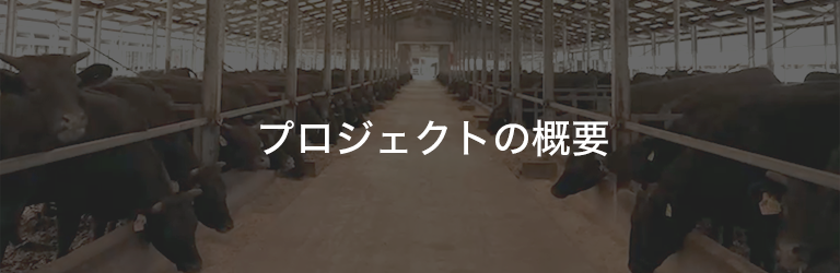 プロジェクトの概要