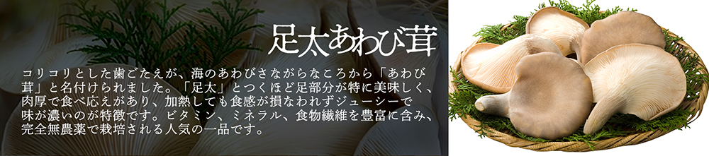 「足太あわび茸」コリコリとした歯ごたえが、海のあわびさながらなころから「あわび茸」と名付けられました。「足太」とつくほど足部分が特に美味しく、肉厚で食べ応えがあり、加熱しても食感が損なわれずジューシーで味が濃いのが特徴です。ビタミン、ミネラル、食物繊維を豊富に含み、完全無農薬で栽培される人気の一品です