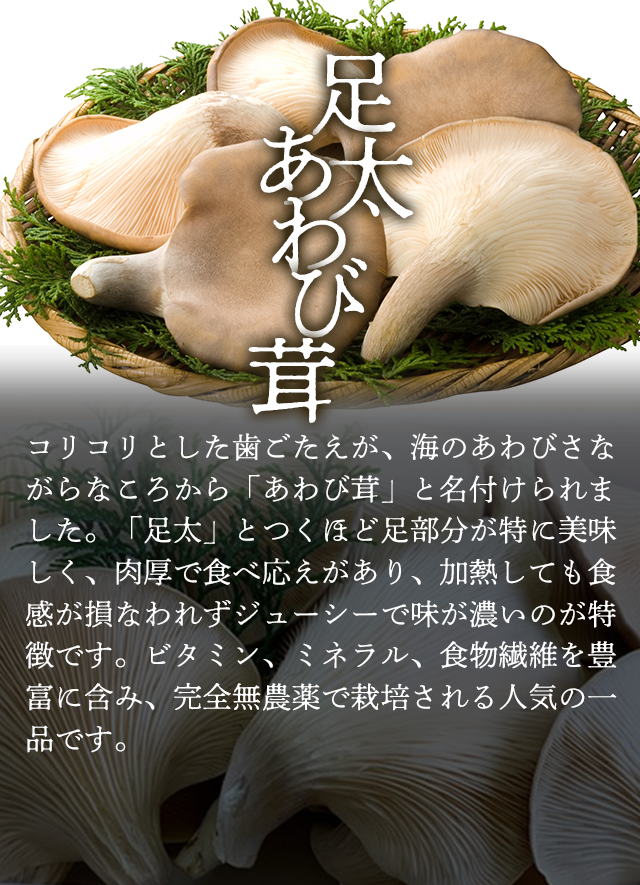 「足太あわび茸」コリコリとした歯ごたえが、海のあわびさながらなころから「あわび茸」と名付けられました。「足太」とつくほど足部分が特に美味しく、肉厚で食べ応えがあり、加熱しても食感が損なわれずジューシーで味が濃いのが特徴です。ビタミン、ミネラル、食物繊維を豊富に含み、完全無農薬で栽培される人気の一品です。