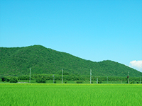 緑豊かな環境保全のために