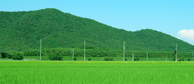 緑豊かな環境保全のために