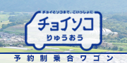 チョイソコりゅうおう