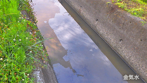 金気水の写真