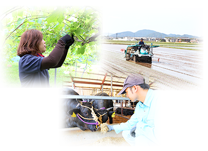 竜王町農作業の様子