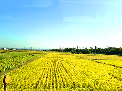 澄んだ青空が美しい収穫後の田園風景(西横関地先)撮影者:竜王町 広報担当2016年9月30日撮影