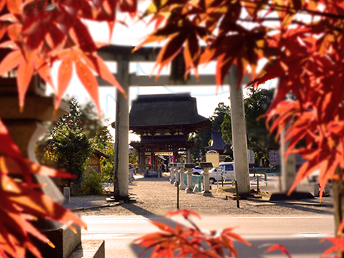 紅葉と苗村神社楼門(綾戸 苗村神社)撮影者:写真クラブ竜王2016年11月23日撮影