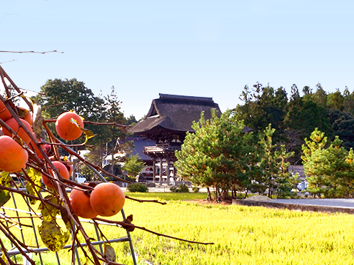 秋晴れの苗村神社楼門(綾戸 苗村神社)撮影者:写真クラブ竜王2016年11月23日撮影