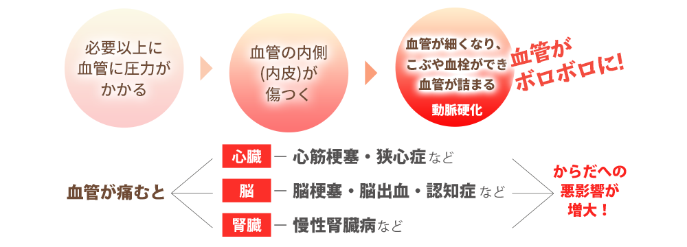 必要以上に血管に圧力がかかると血管の内側が傷みます。そうなると血管壁にコブができたり硬くなって狭くなり、動脈硬化を招きます。その結果血管がボロボロに。また、血管が傷むと心筋梗塞・狭心症・脳梗塞・脳出血・認知症・慢性腎臓病など体への悪影響が増大します。